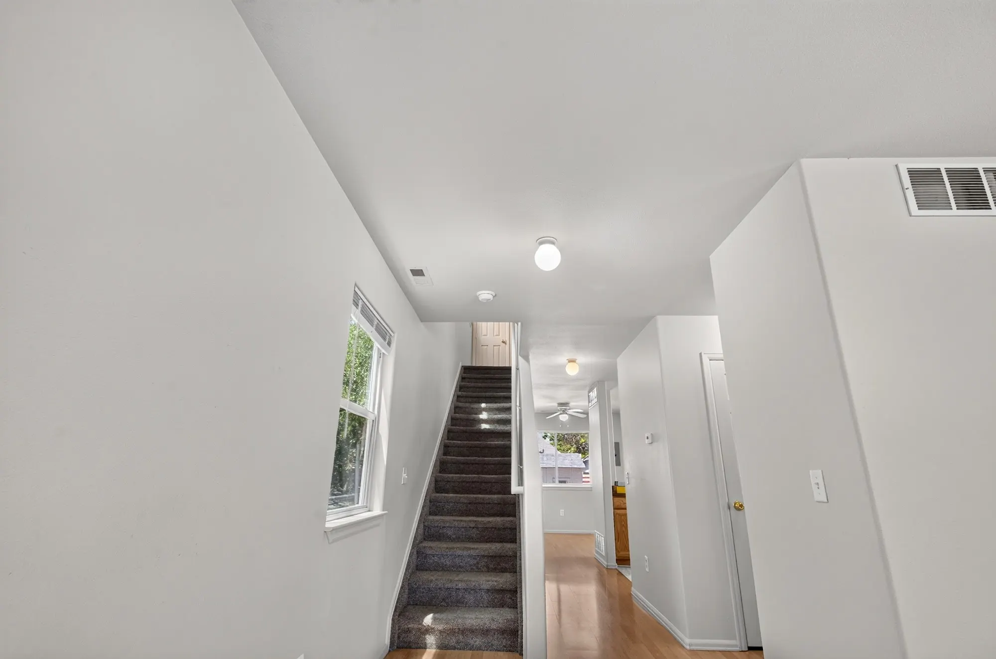 Real estate photograph 16 of 1423 Palmer Ave, Colorado Springs