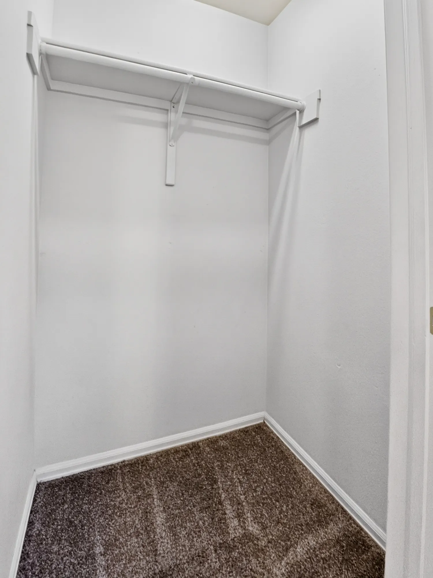 Real estate photograph 21 of 1423 Palmer Ave, Colorado Springs