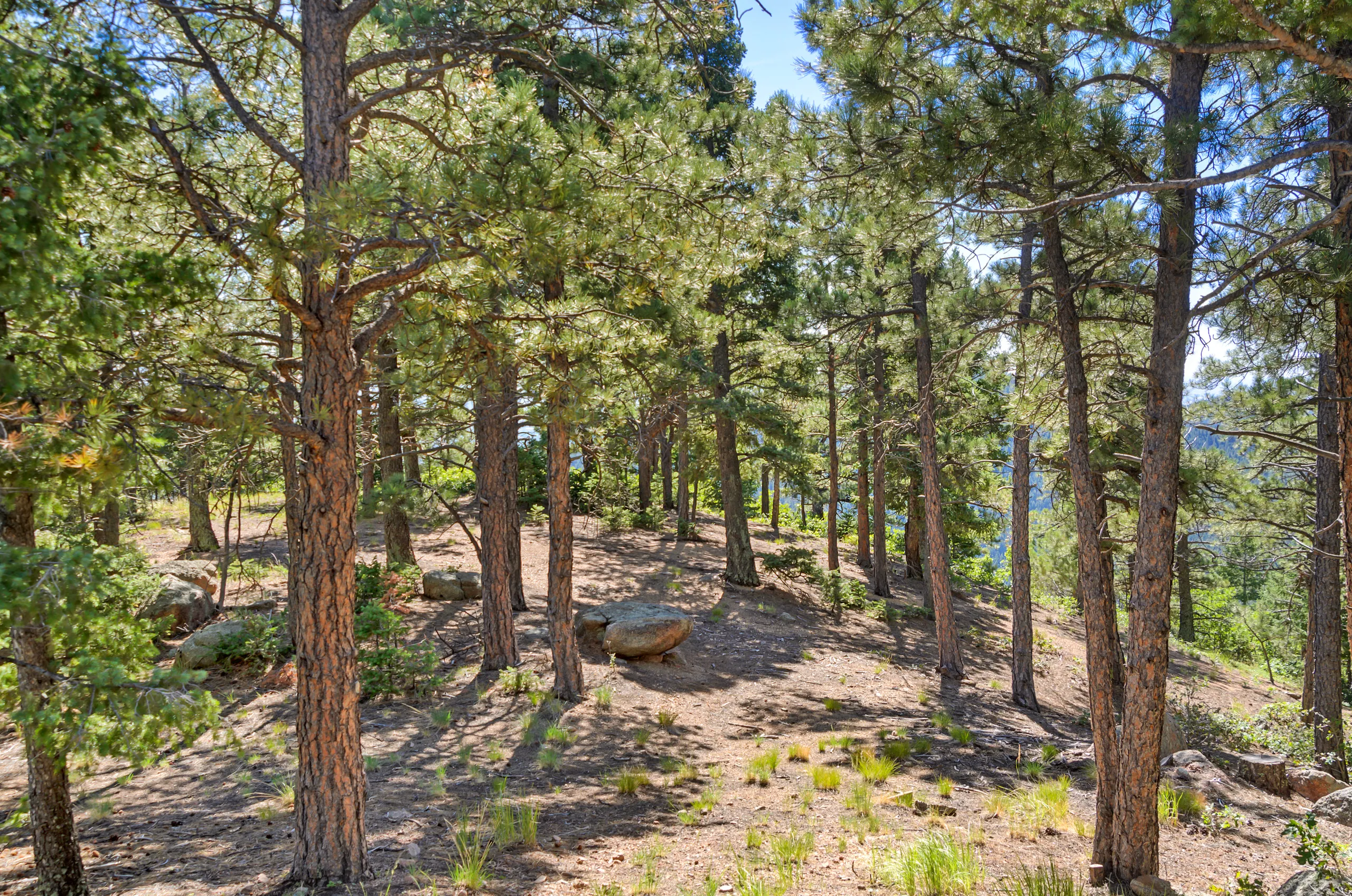 Real estate photograph 5 of Crystal Park, Colorado Springs