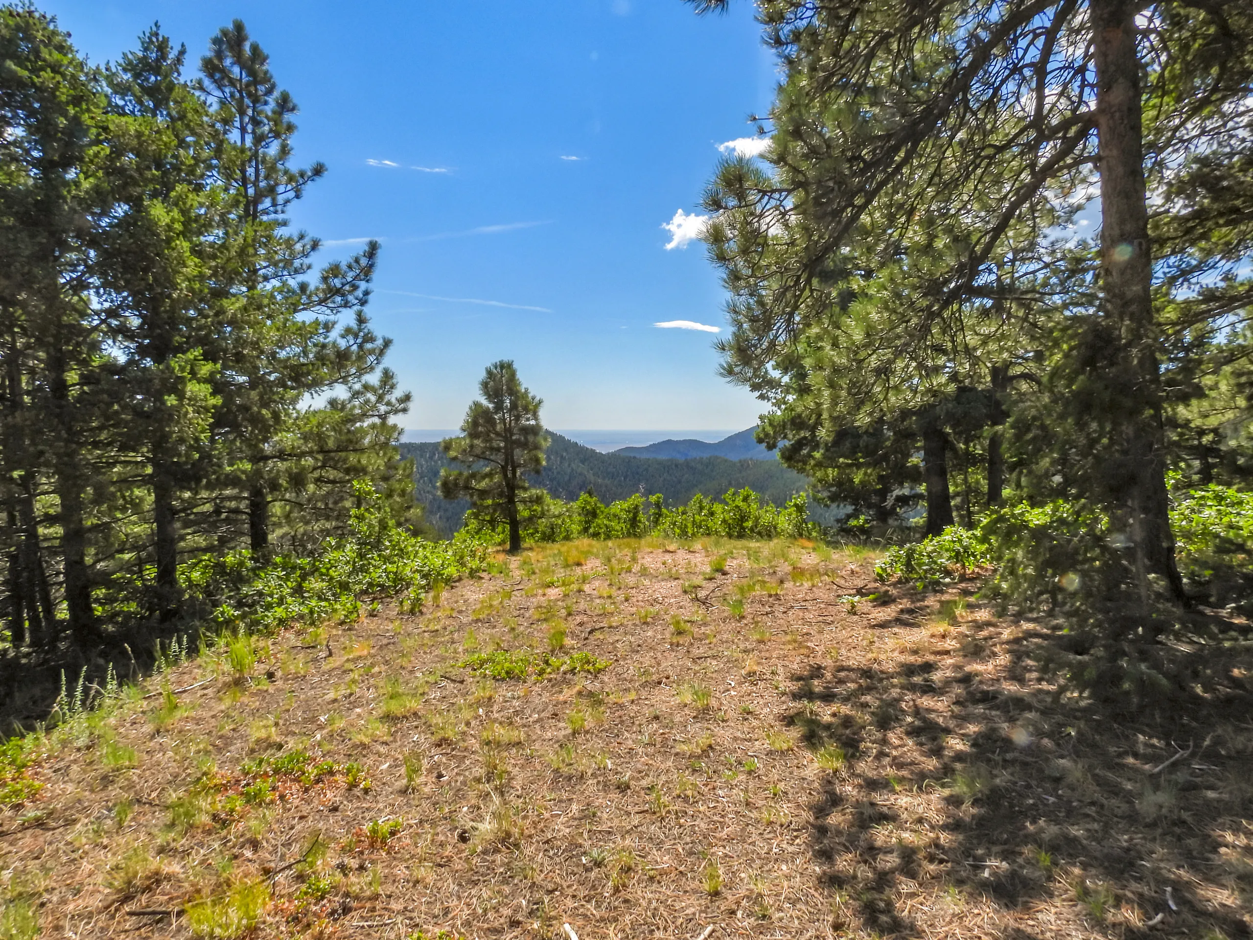 Real estate photograph 8 of Crystal Park, Colorado Springs