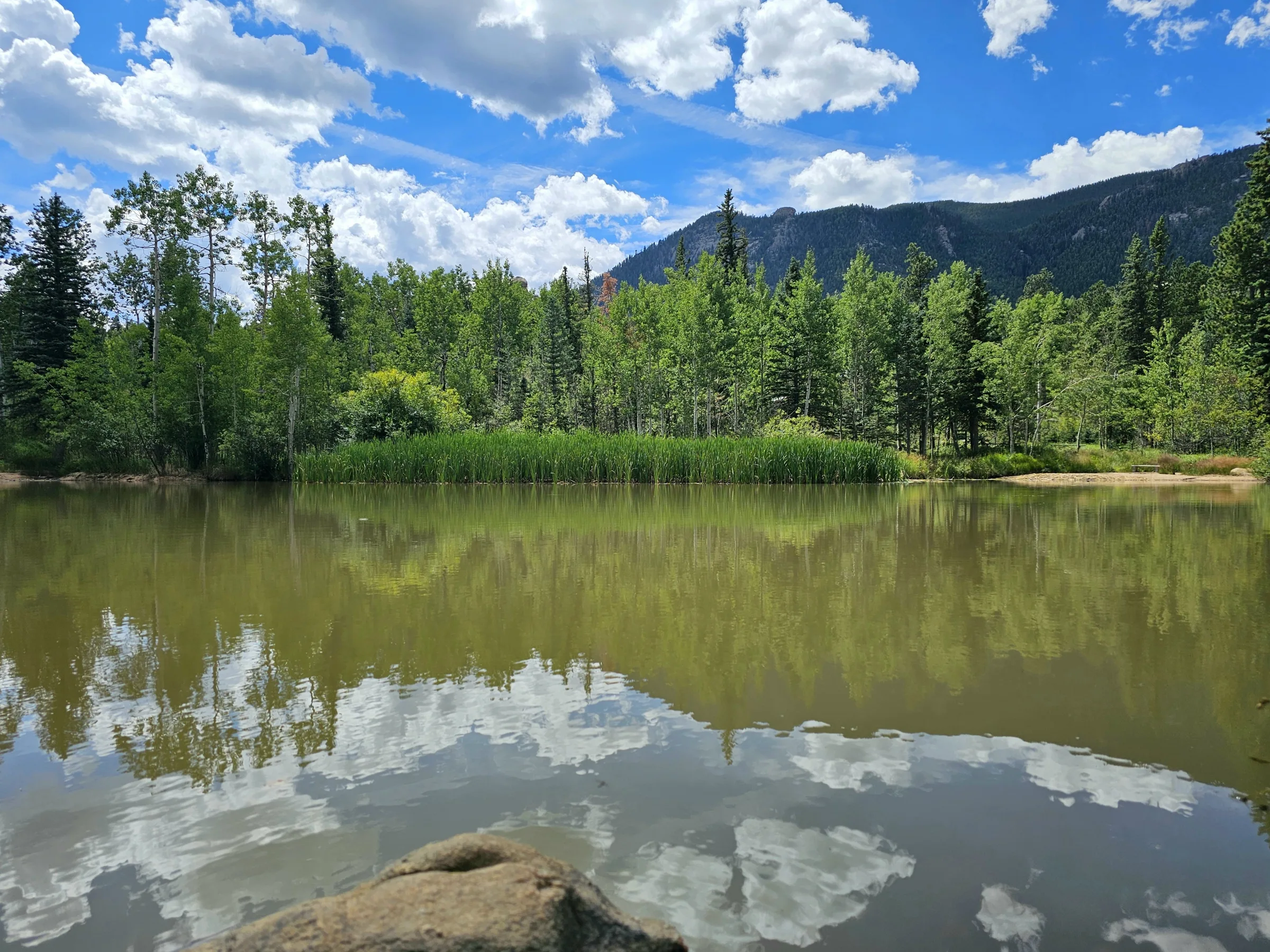 Real estate photograph 15 of Crystal Park, Colorado Springs